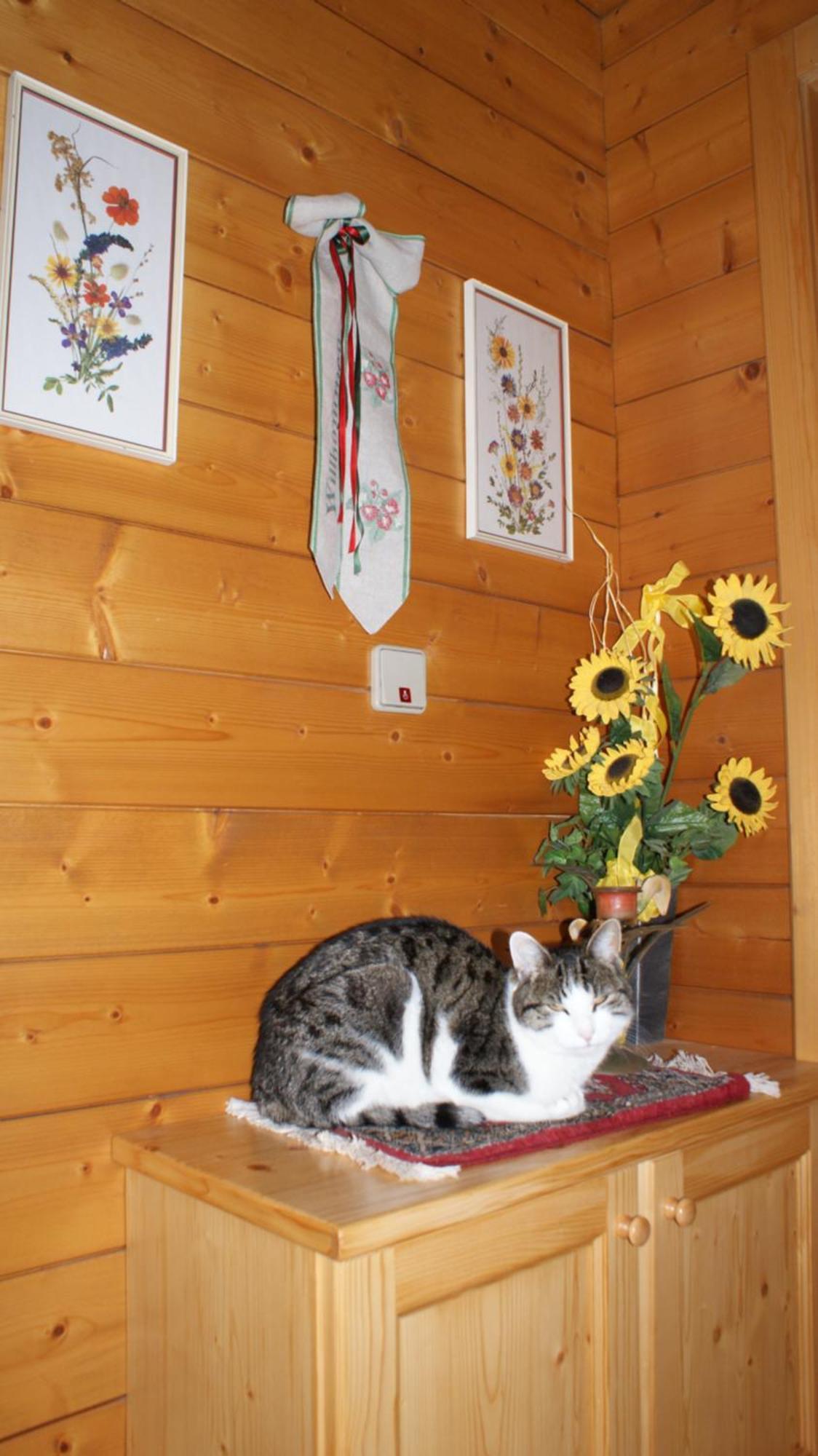 Gasthaus Oberweissen-Hittl Sankt Jakob in Defereggen Buitenkant foto